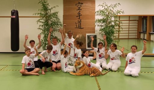 Anfängerkurs Kinder Karate