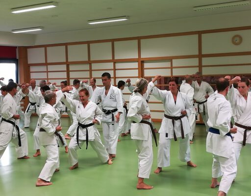 Karate-Lehrgang mit Sensei Akita, 6. Dan